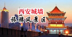 大鸡鸡插骚逼视频喷水白浆中国陕西-西安城墙旅游风景区